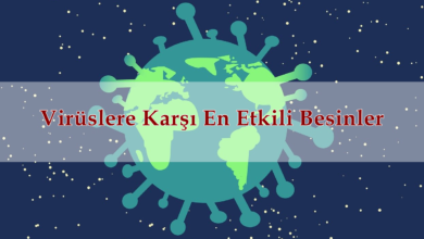 Photo of Virüslere Karşı En Etkili Besinler