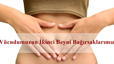 Photo of Vücudumuzun İkinci Beyni Bağırsaklarımız